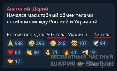 Труха Барселона — фото из публикации