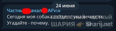 Труха Барселона — фото из публикации