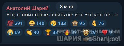 Труха Барселона — фото из публикации