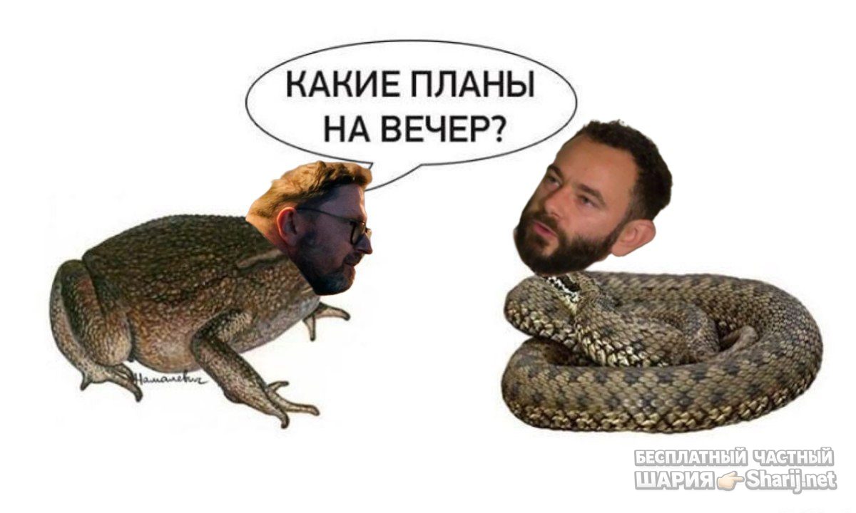 Труха Барселона — фото из публикации