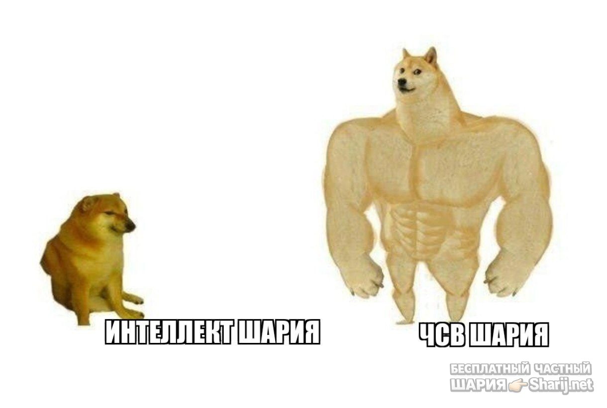Труха Барселона — фото из публикации