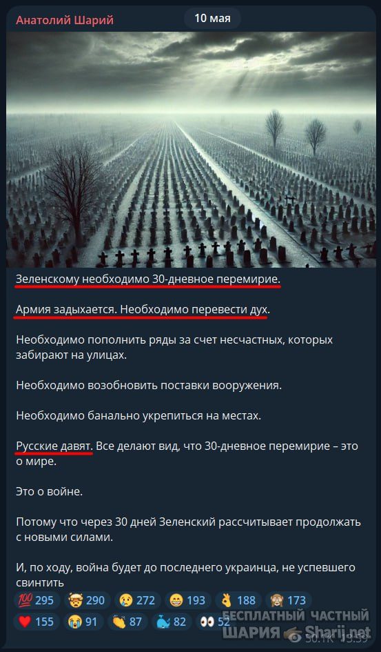 Труха Барселона — фото из публикации