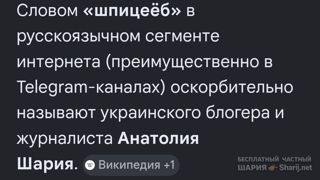 Труха Барселона — фото из публикации