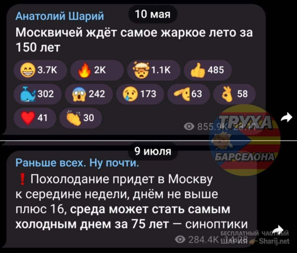 Труха Барселона — фото из публикации