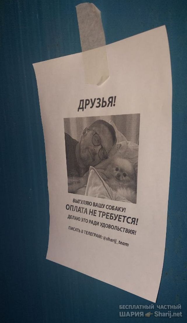 Труха Барселона — фото из публикации