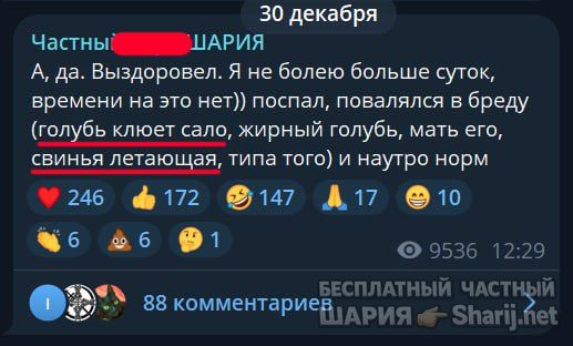 Труха Барселона — фото из публикации