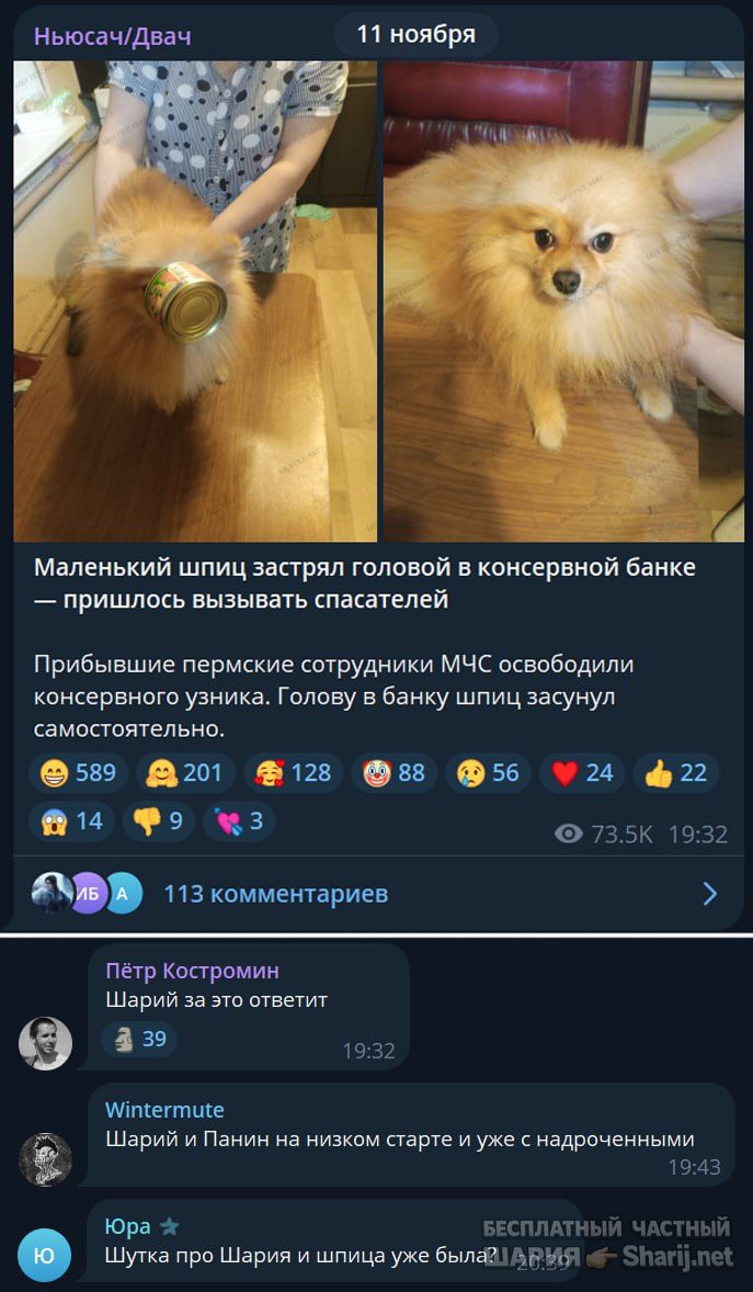 Труха Барселона — фото из публикации