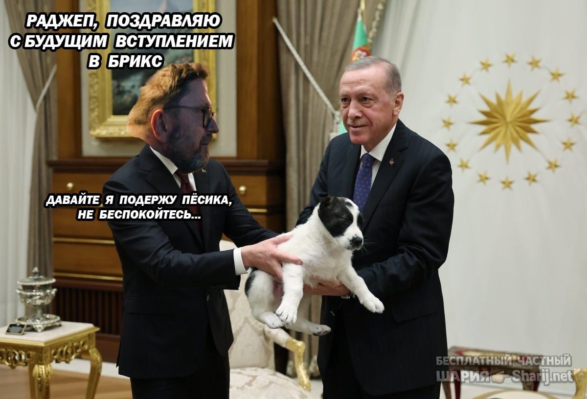 Труха Барселона — фото из публикации