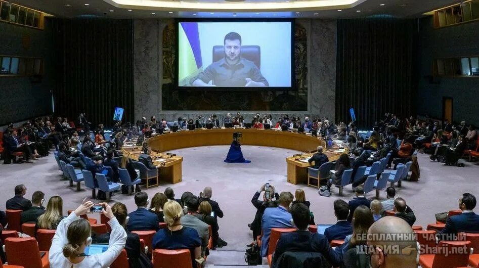 Труха Барселона — фото из публикации