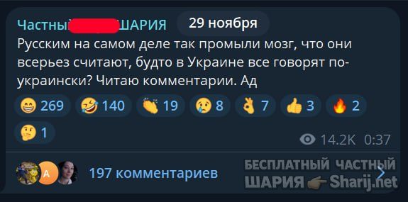 Труха Барселона — фото из публикации