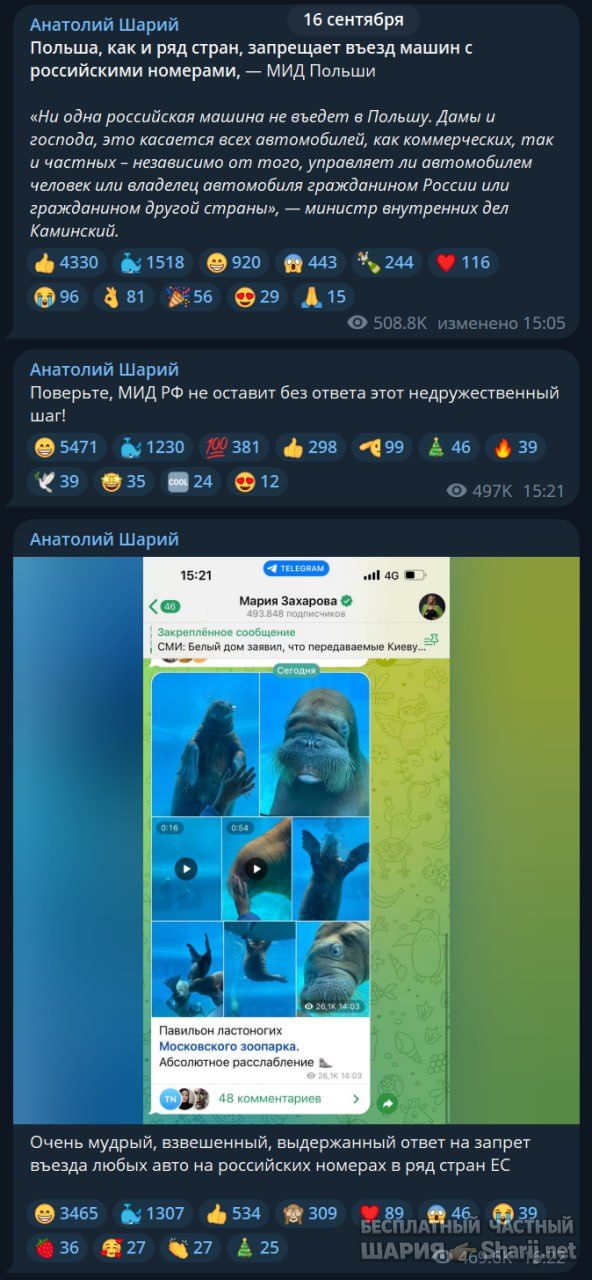 Труха Барселона — фото из публикации