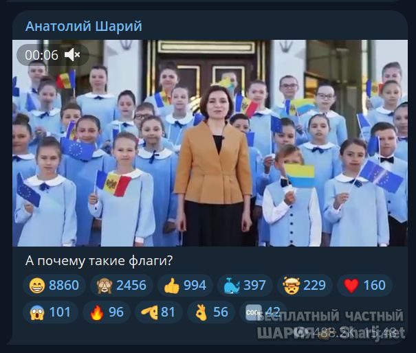 Труха Барселона — фото из публикации
