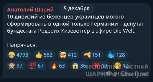 Труха Барселона — фото из публикации