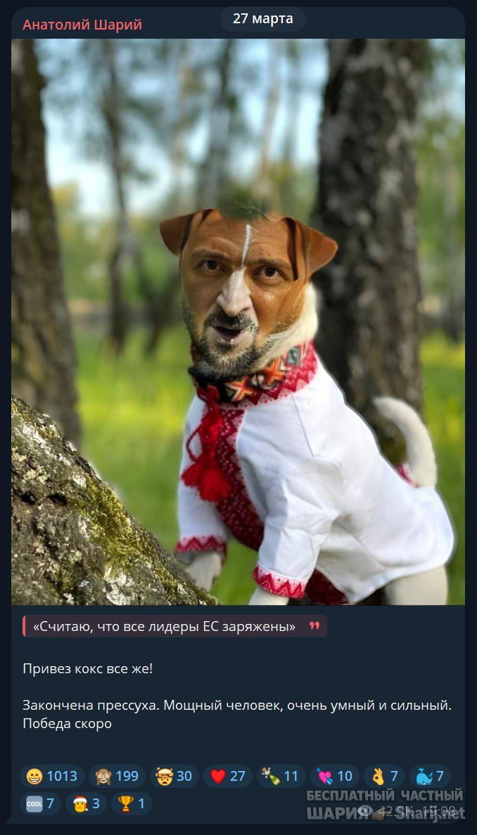 Труха Барселона — фото из публикации