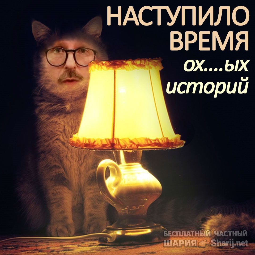 Труха Барселона — фото из публикации