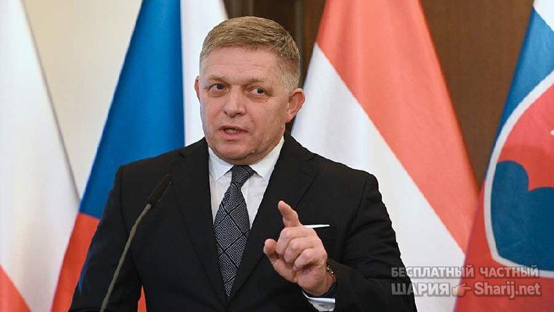 Труха Барселона — фото из публикации