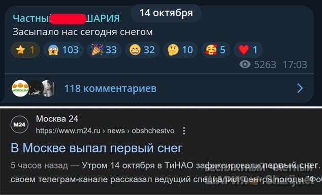 Труха Барселона — фото из публикации