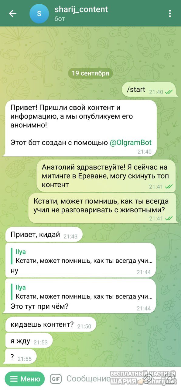 Труха Барселона — фото из публикации