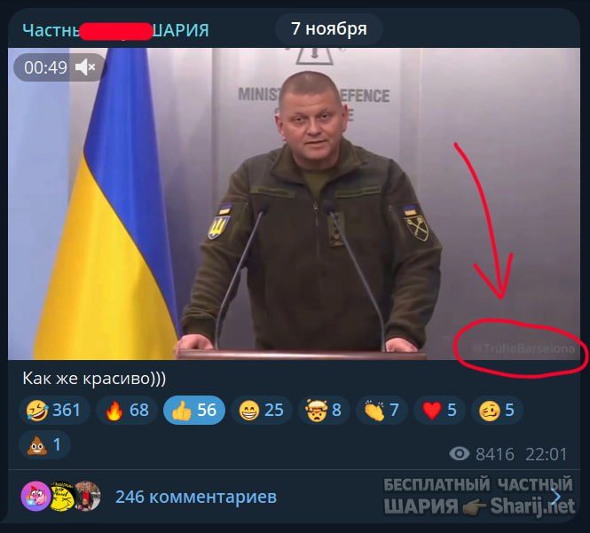 Труха Барселона — фото из публикации
