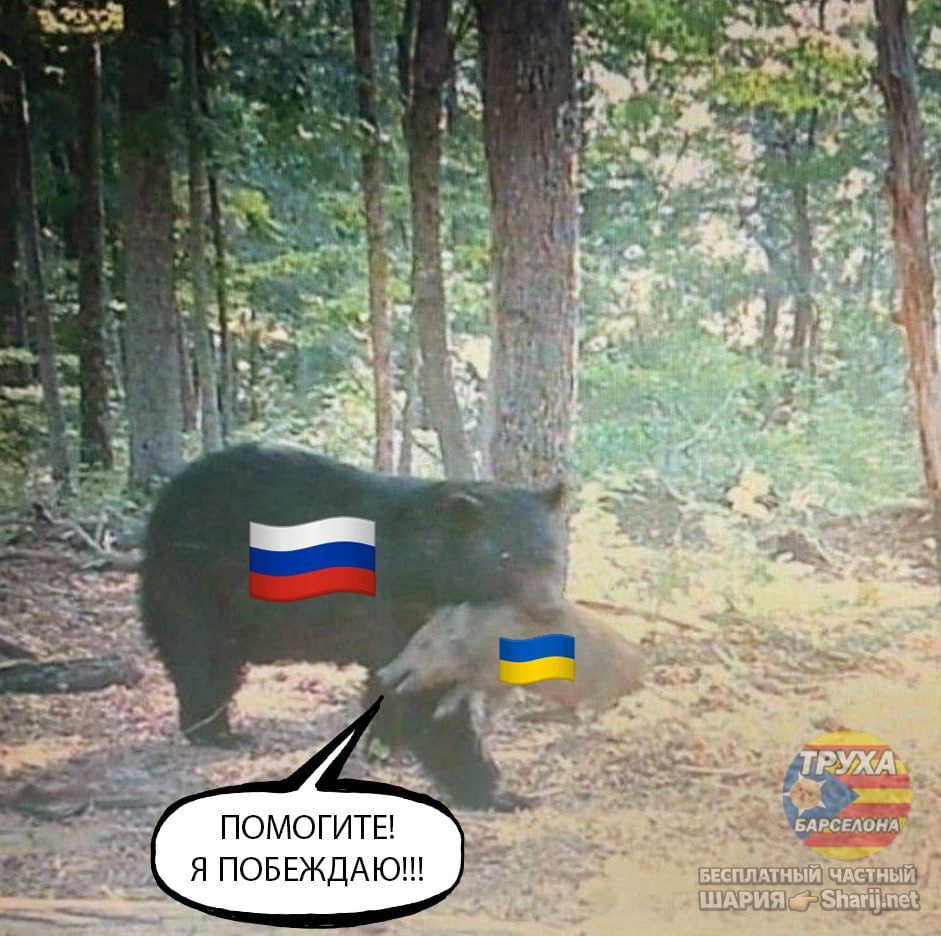 Труха Барселона — фото из публикации