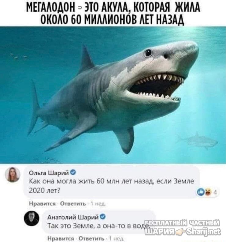 Труха Барселона — фото из публикации