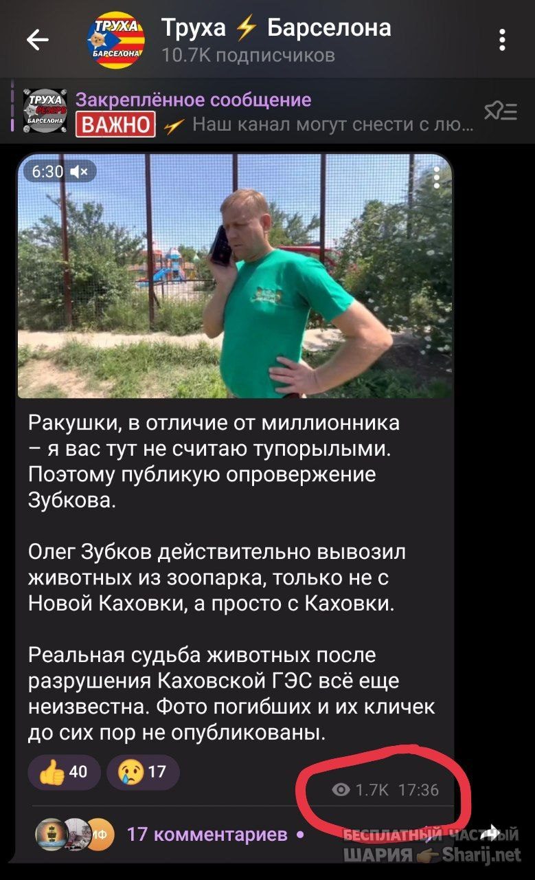 Труха Барселона — фото из публикации