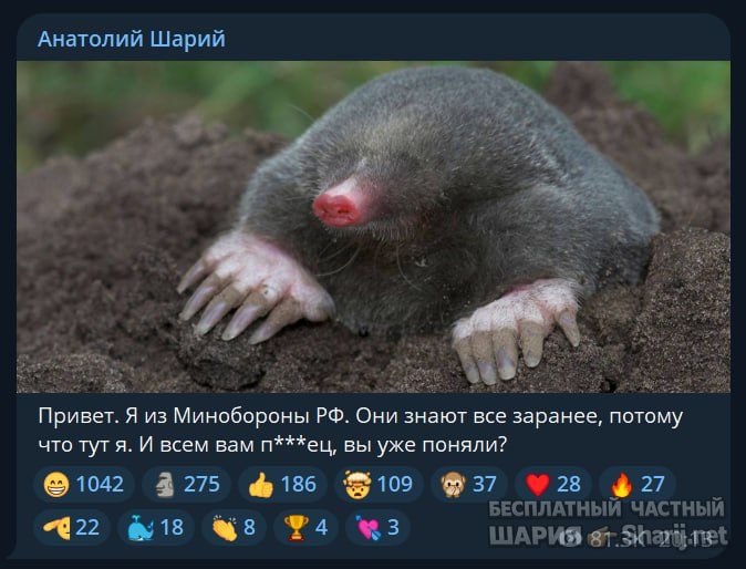 Труха Барселона — фото из публикации