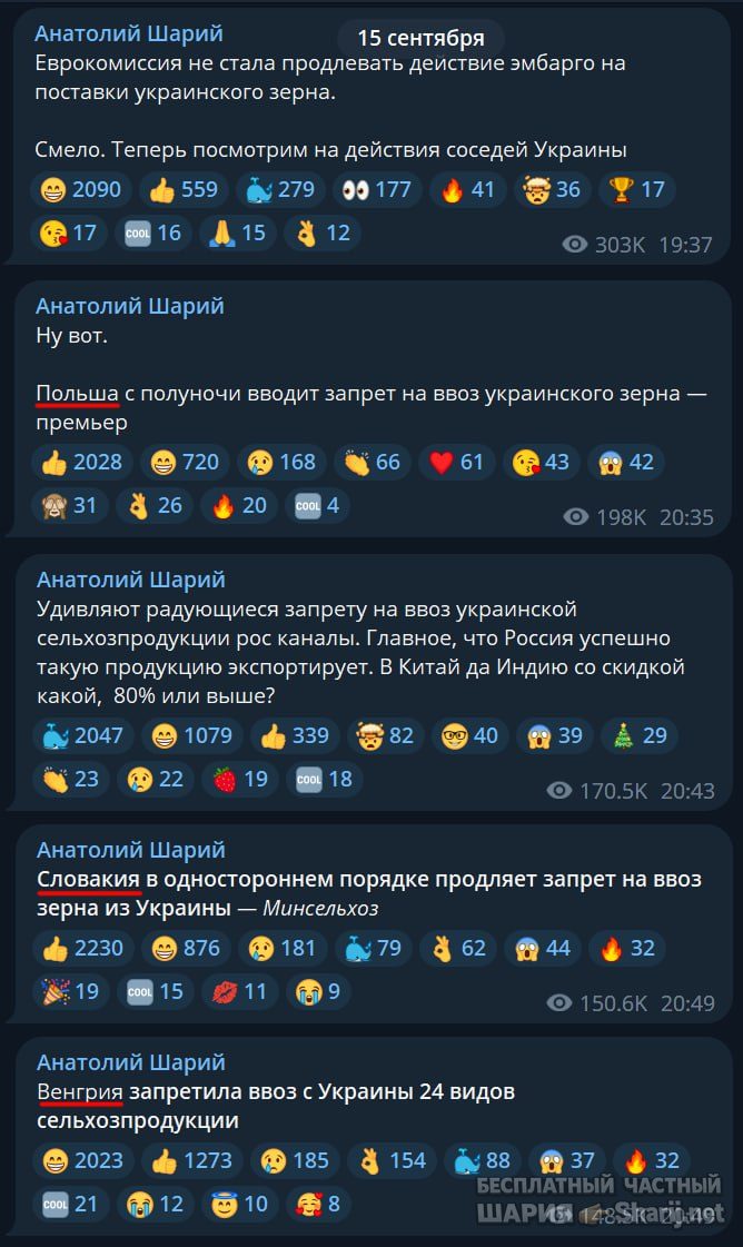 Труха Барселона — фото из публикации