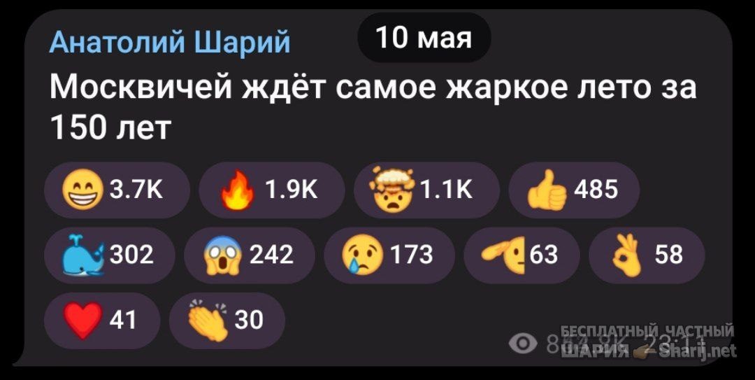 Труха Барселона — фото из публикации