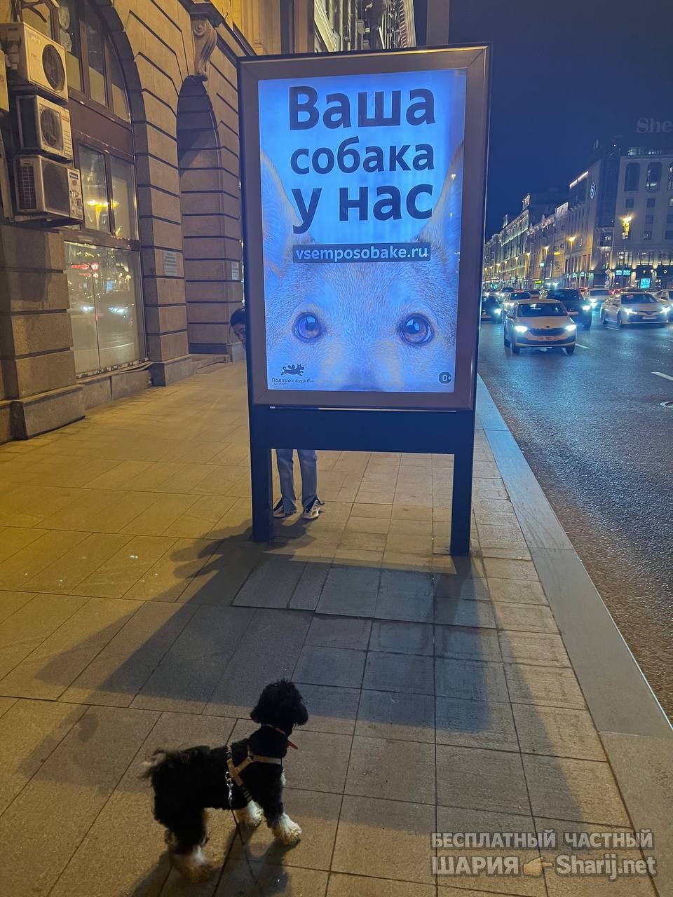 Труха Барселона — фото из публикации