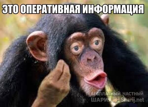 Труха Барселона — фото из публикации