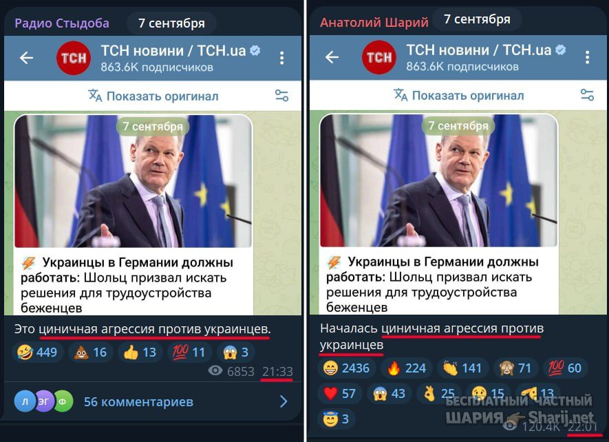 Труха Барселона — фото из публикации