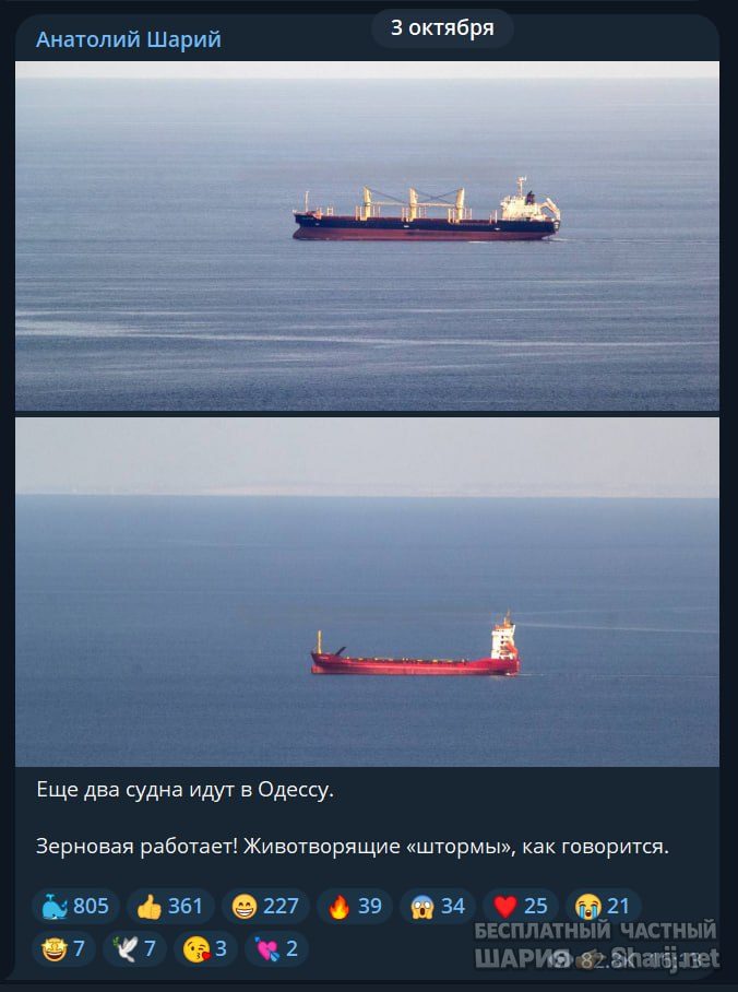 Труха Барселона — фото из публикации