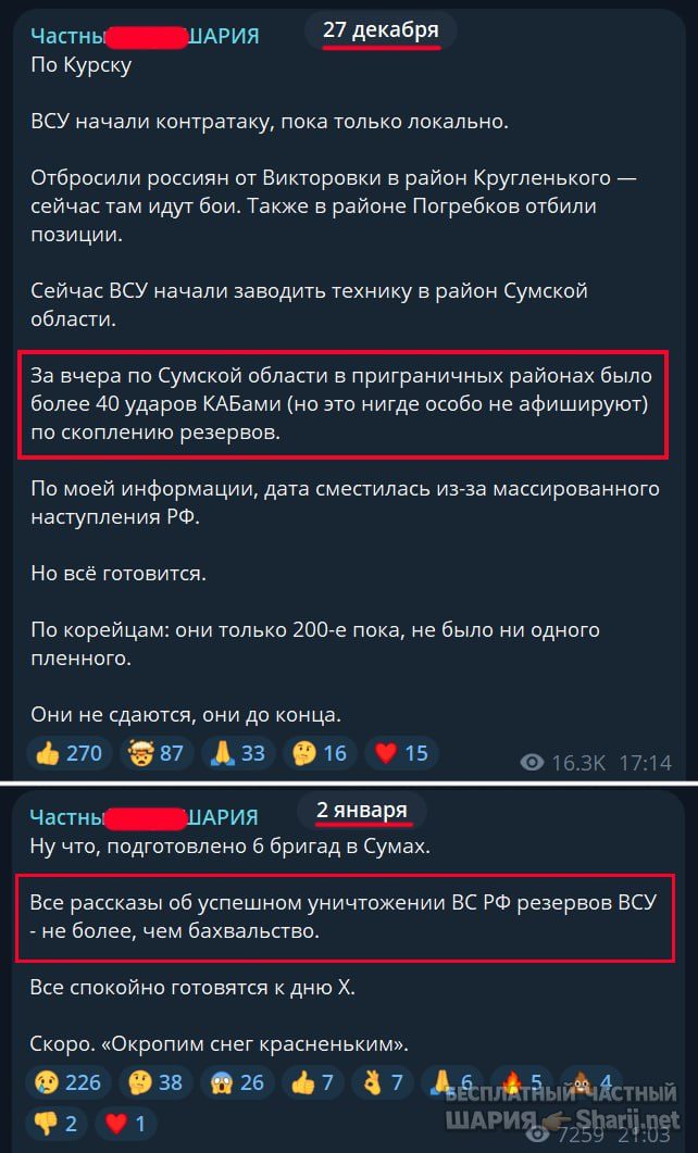 Труха Барселона — фото из публикации