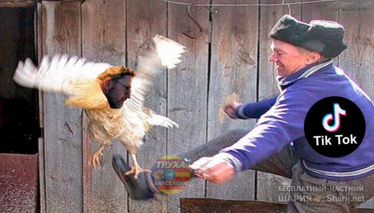 Труха Барселона — фото из публикации