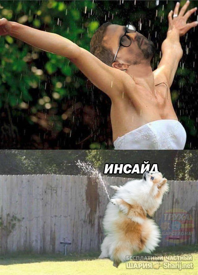 Труха Барселона — фото из публикации