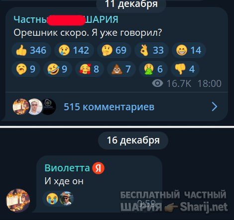 Труха Барселона — фото из публикации