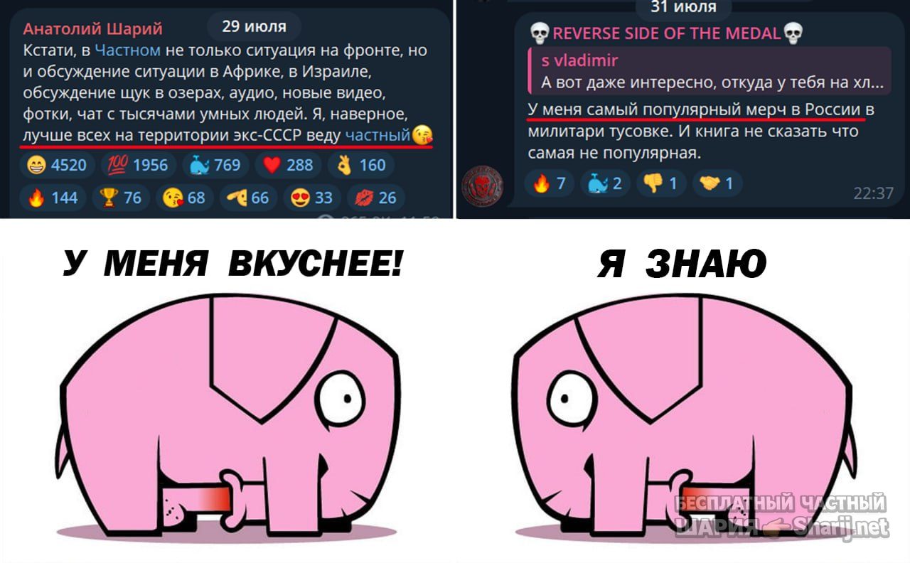 Труха Барселона — фото из публикации