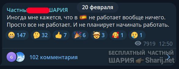 Труха Барселона — фото из публикации