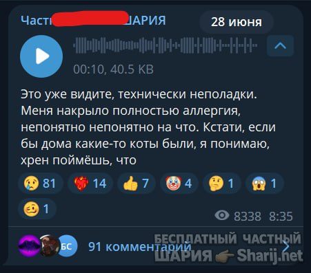 Труха Барселона — фото из публикации
