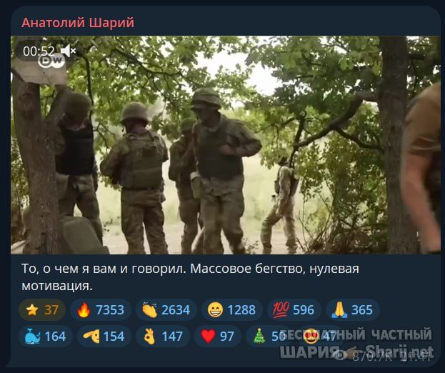 Труха Барселона — фото из публикации