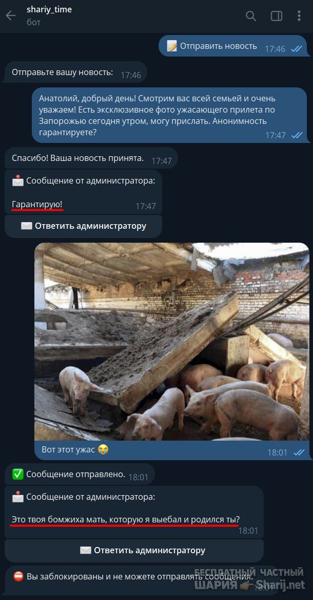 Труха Барселона — фото из публикации