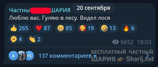 Труха Барселона — фото из публикации