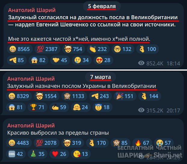 Труха Барселона — фото из публикации