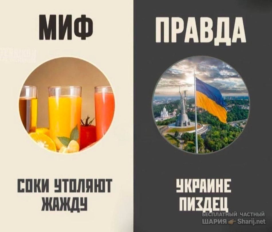 Труха Барселона — фото из публикации