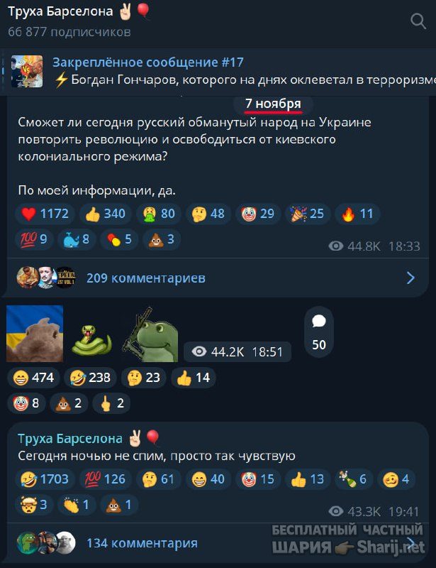 Труха Барселона — фото из публикации