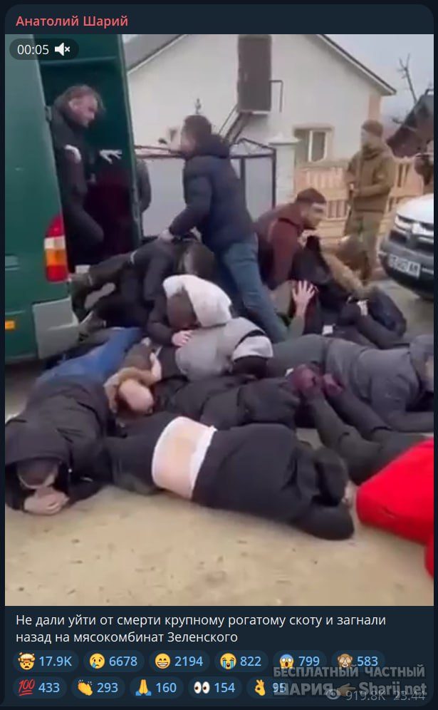 Труха Барселона — фото из публикации