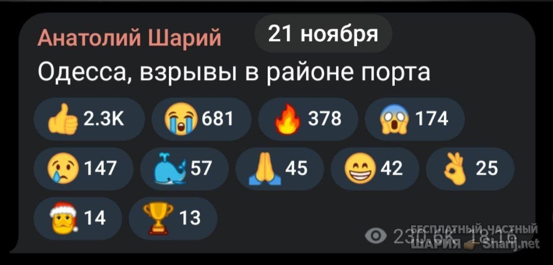 Труха Барселона — фото из публикации