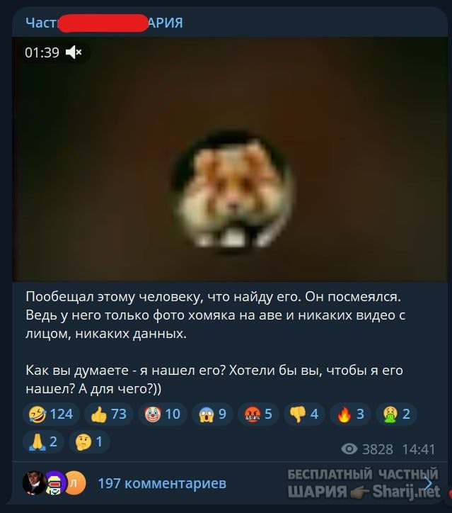 Труха Барселона — фото из публикации
