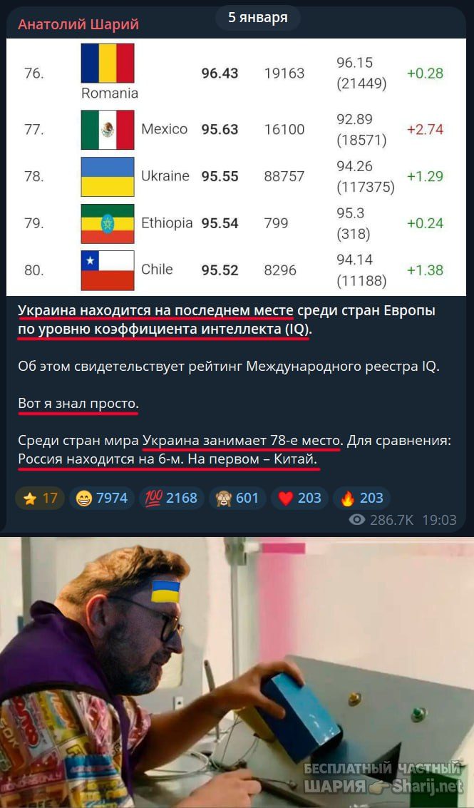 Труха Барселона — фото из публикации